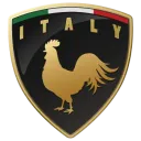 Italy icon